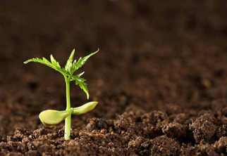 土壤檢測項目一